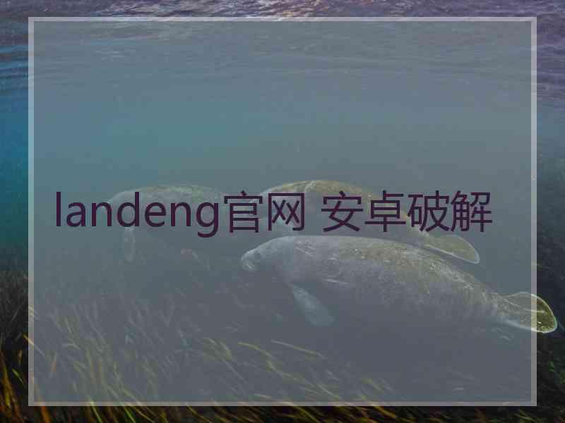 landeng官网 安卓破解