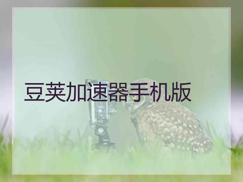 豆荚加速器手机版