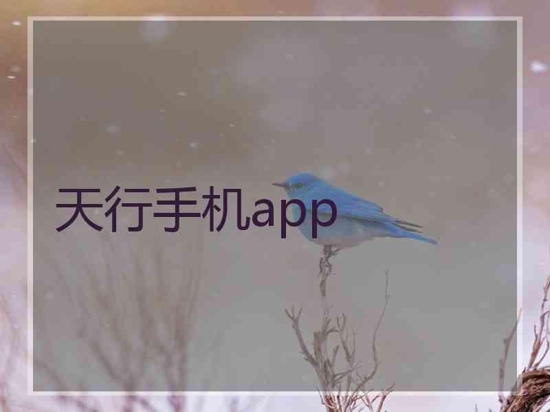 天行手机app