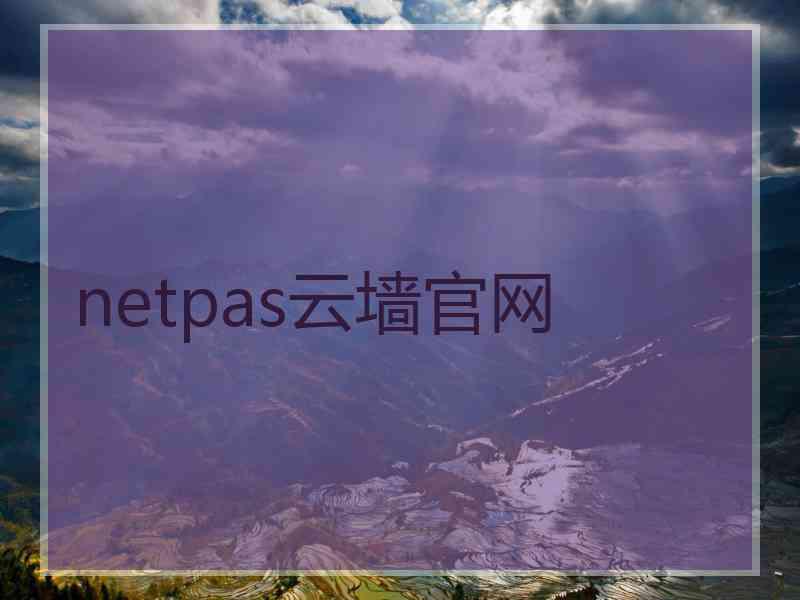 netpas云墙官网