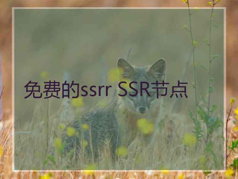 免费的ssrr SSR节点