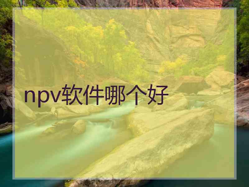 npv软件哪个好