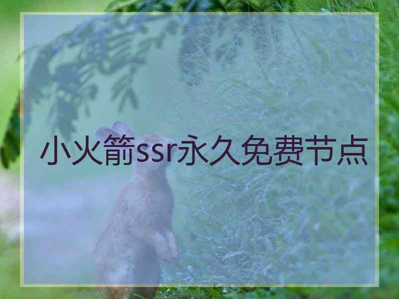 小火箭ssr永久免费节点