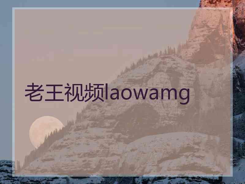 老王视频laowamg