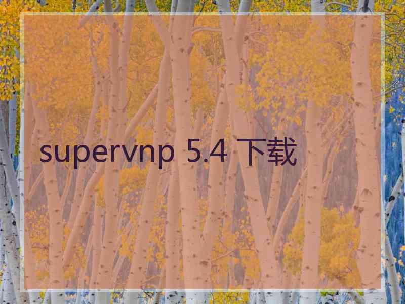 supervnp 5.4 下载