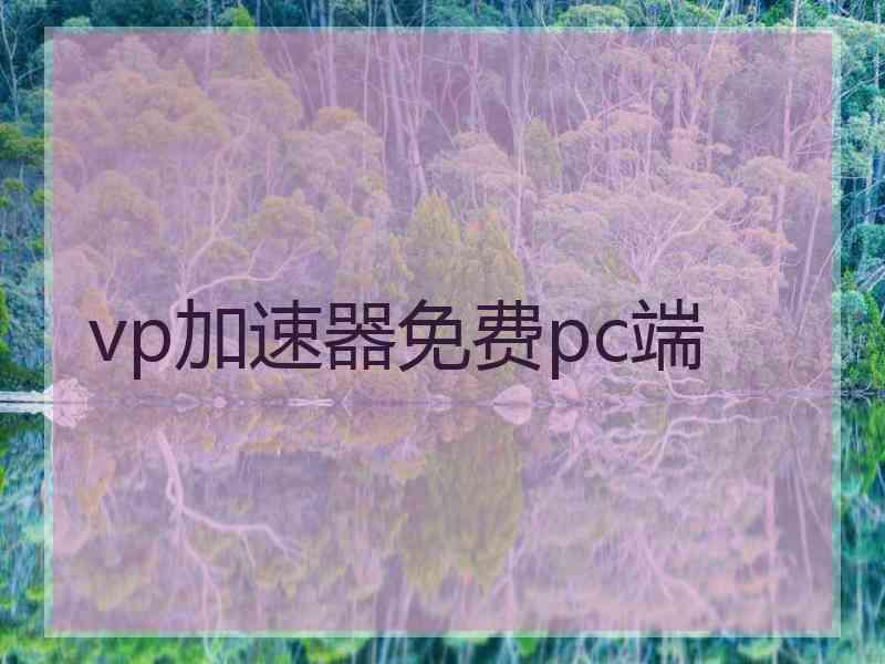 vp加速器免费pc端