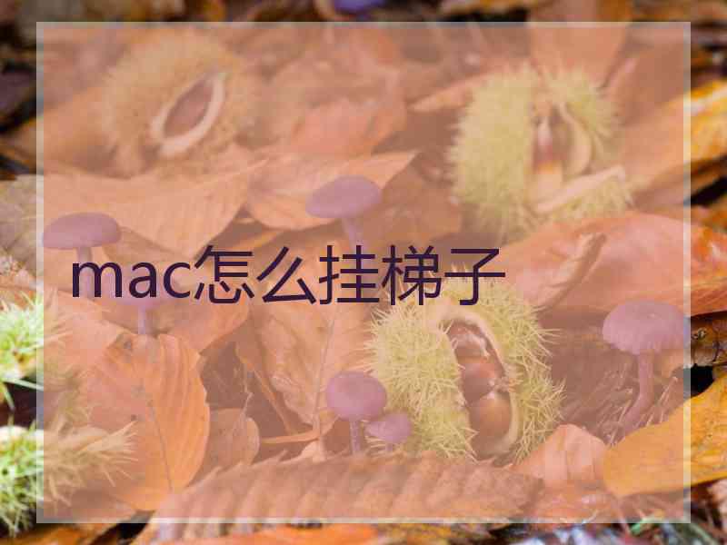 mac怎么挂梯子