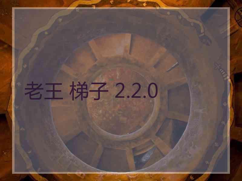 老王 梯子 2.2.0