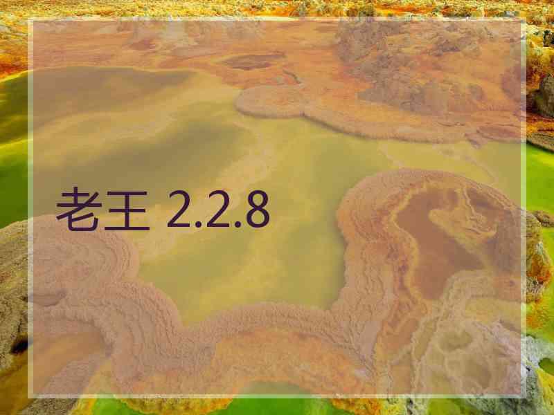 老王 2.2.8