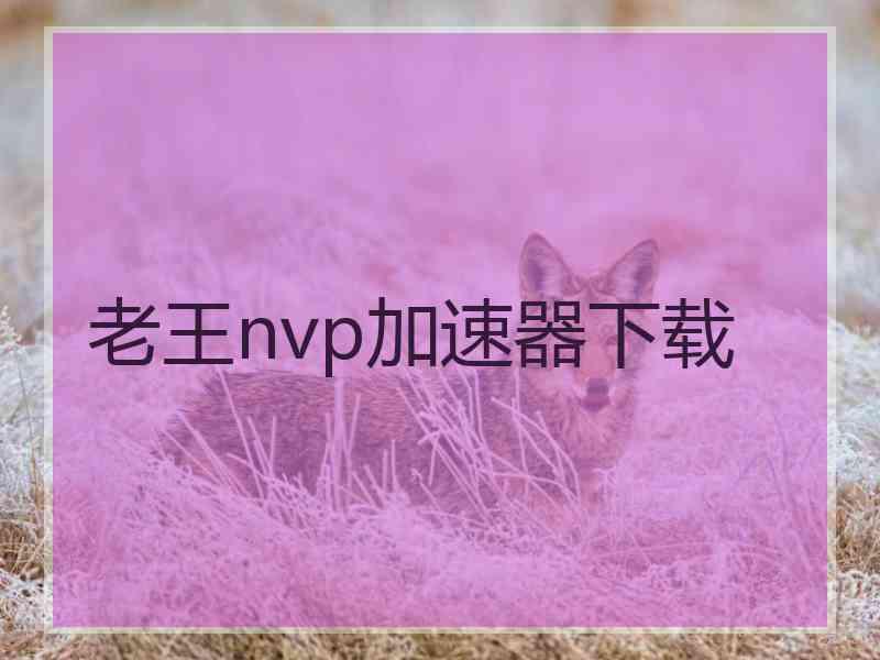 老王nvp加速器下载