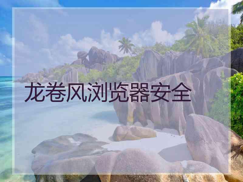 龙卷风浏览器安全