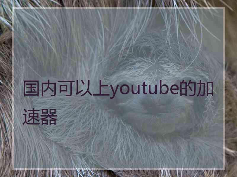 国内可以上youtube的加速器