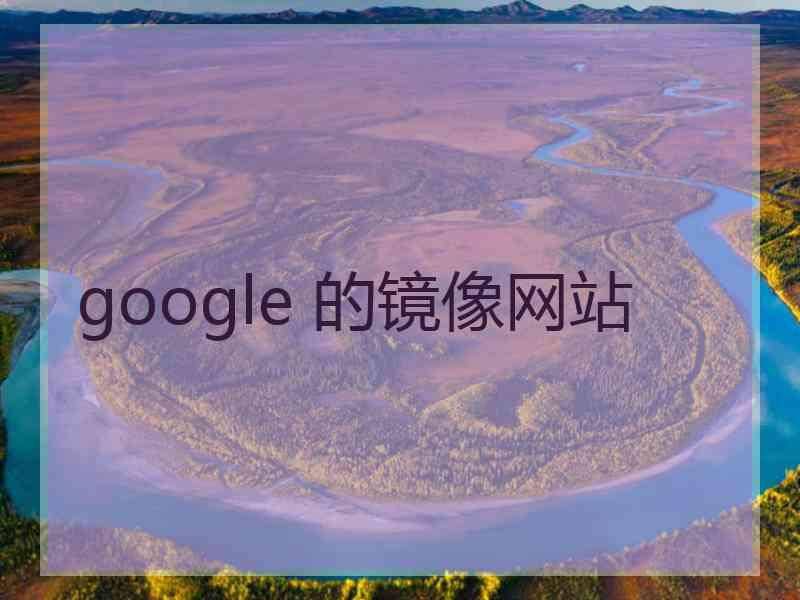 google 的镜像网站