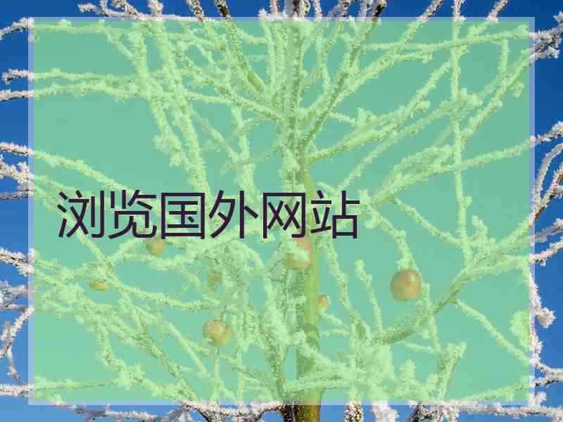 浏览国外网站