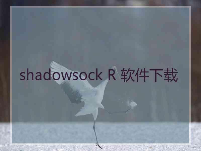 shadowsock R 软件下载