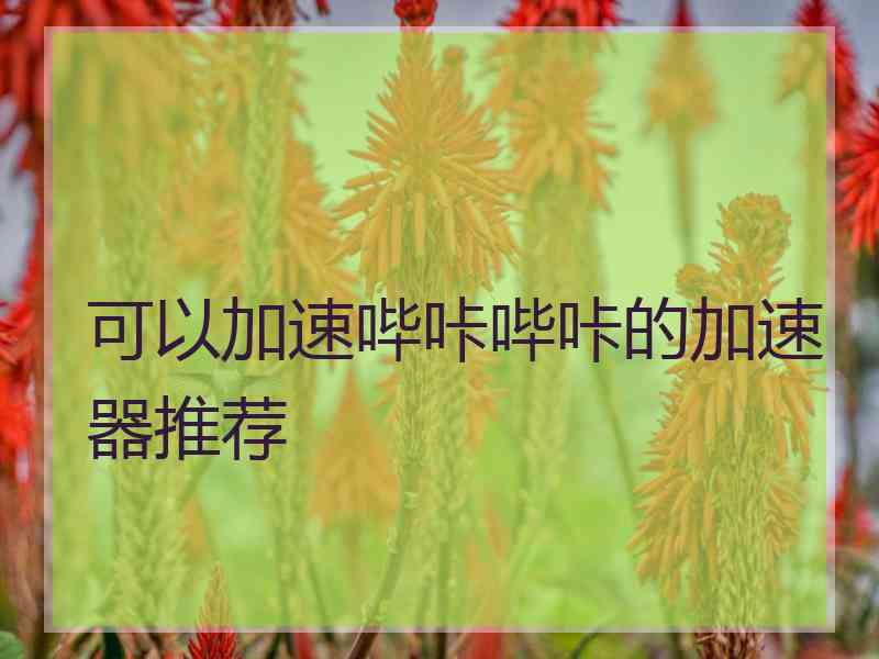 可以加速哔咔哔咔的加速器推荐