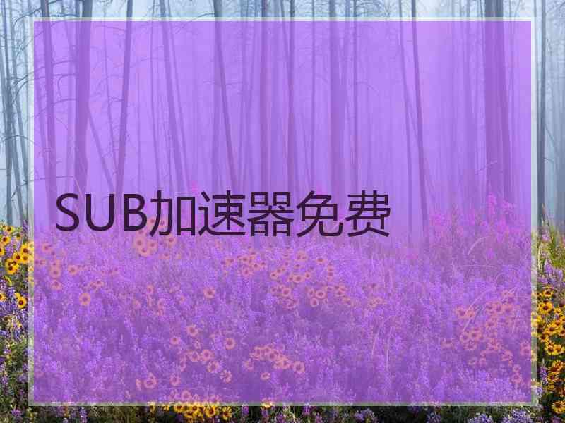 SUB加速器免费