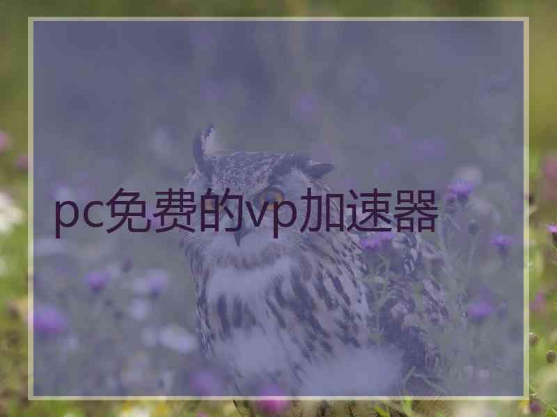 pc免费的vp加速器