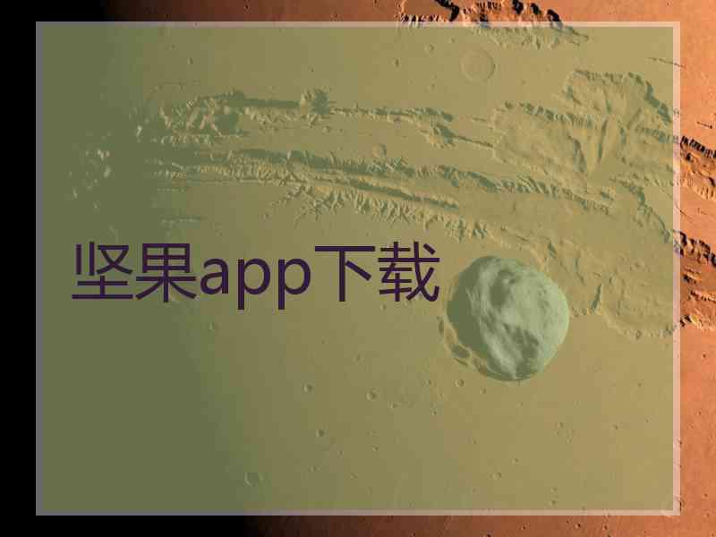 坚果app下载