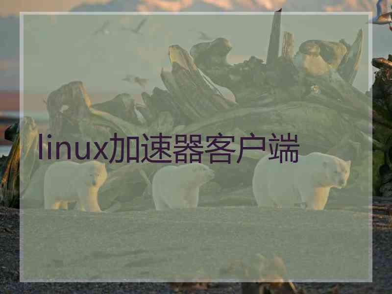 linux加速器客户端