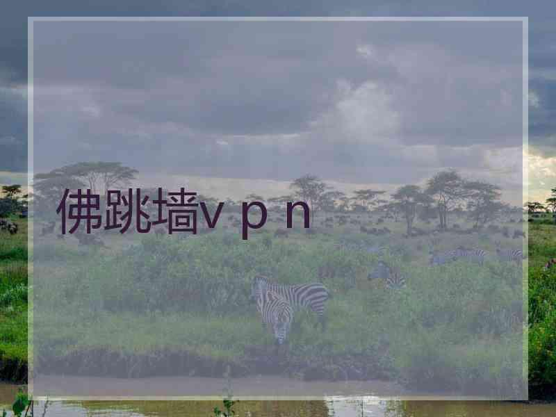 佛跳墙v p n