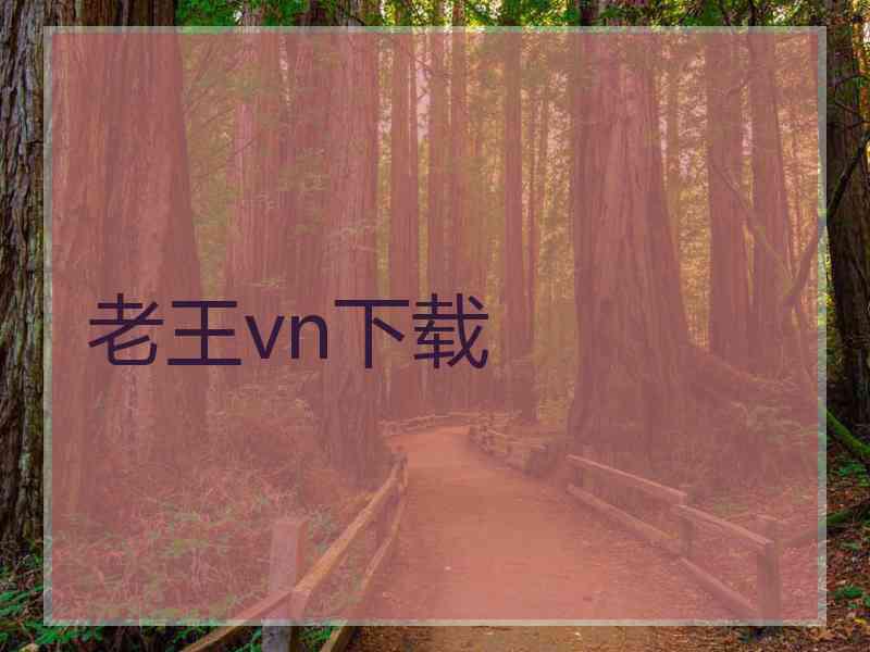 老王vn下载