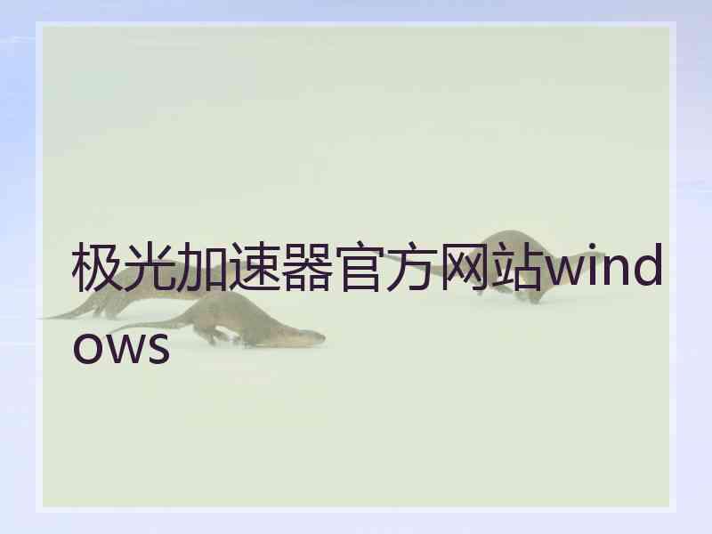 极光加速器官方网站windows