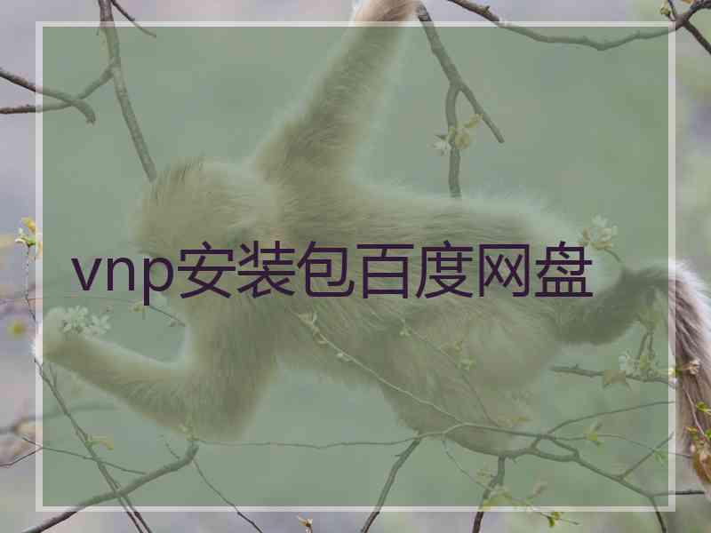 vnp安装包百度网盘