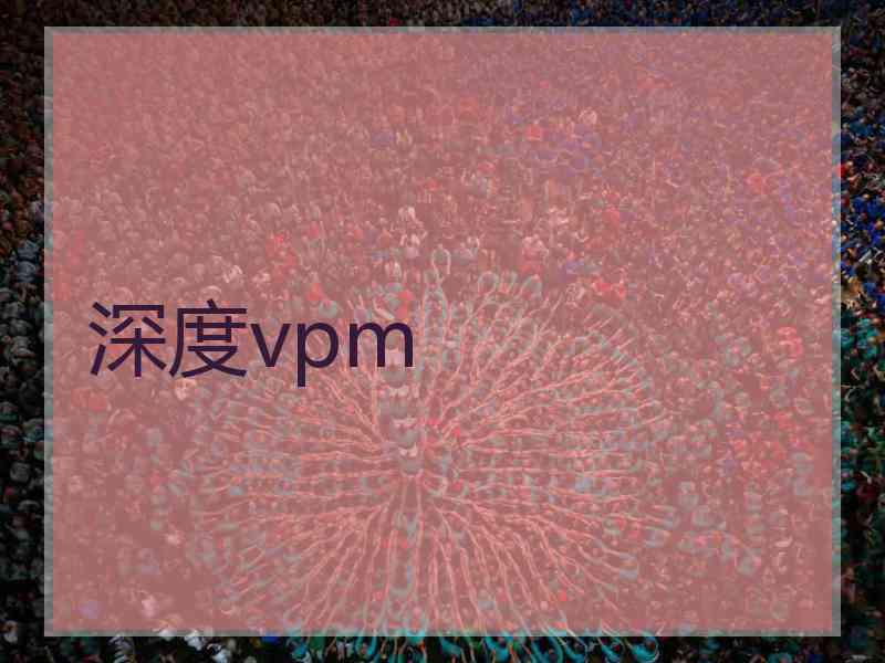 深度vpm