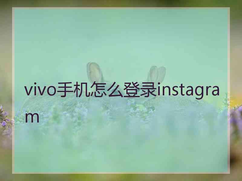 vivo手机怎么登录instagram