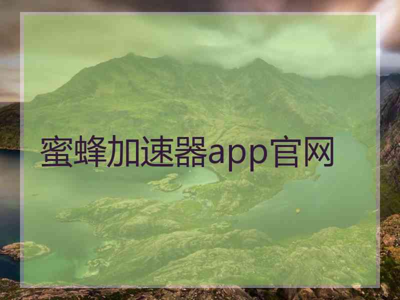 蜜蜂加速器app官网