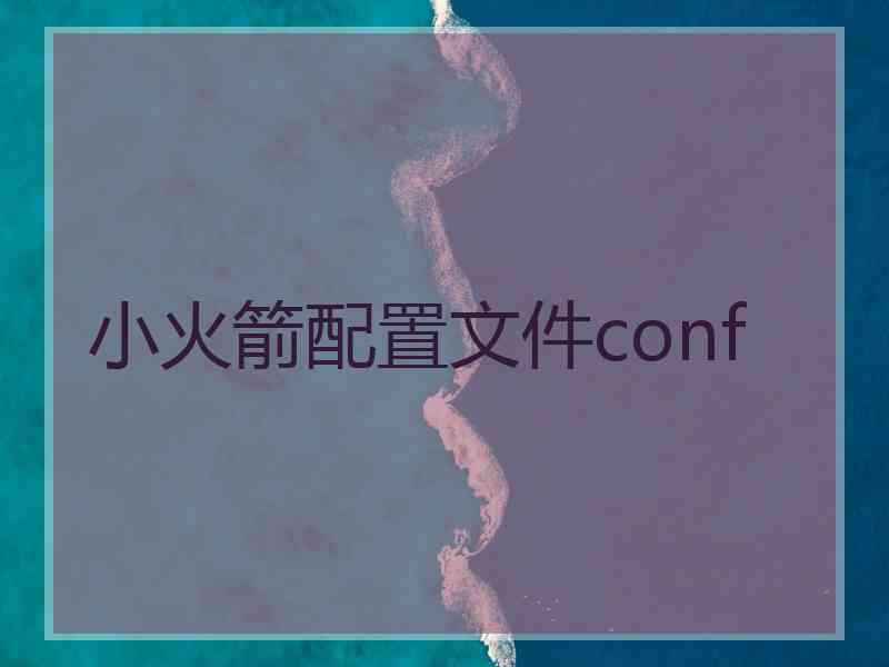 小火箭配置文件conf