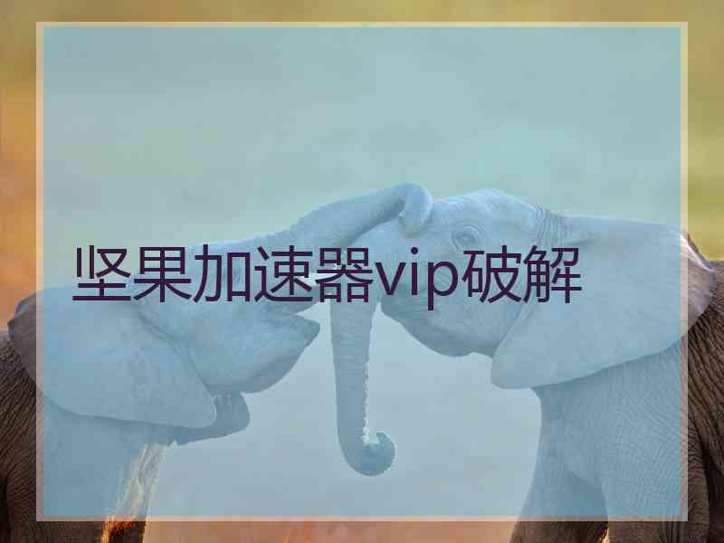 坚果加速器vip破解