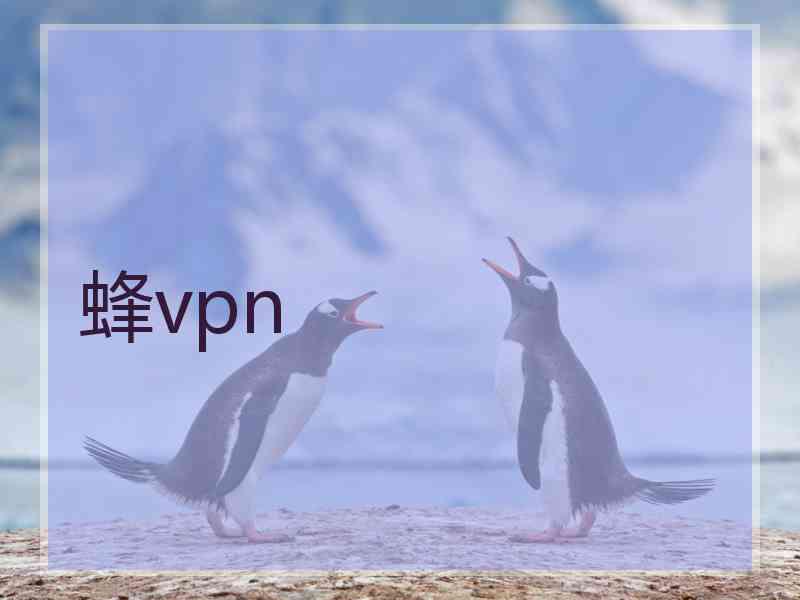 蜂vpn