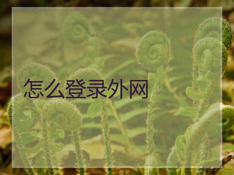 怎么登录外网