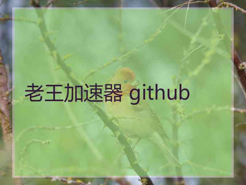 老王加速器 github