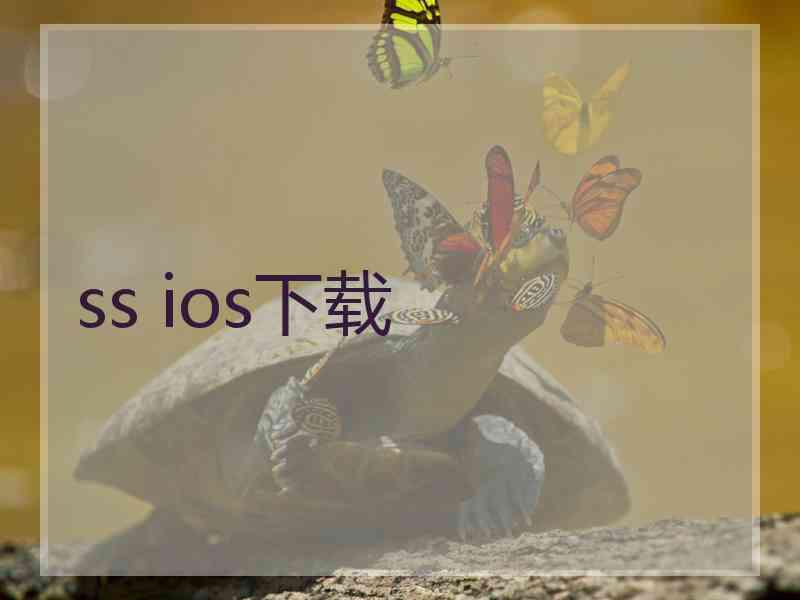 ss ios下载