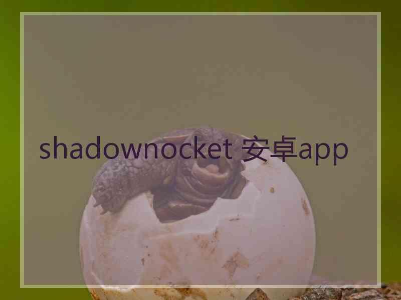 shadownocket 安卓app