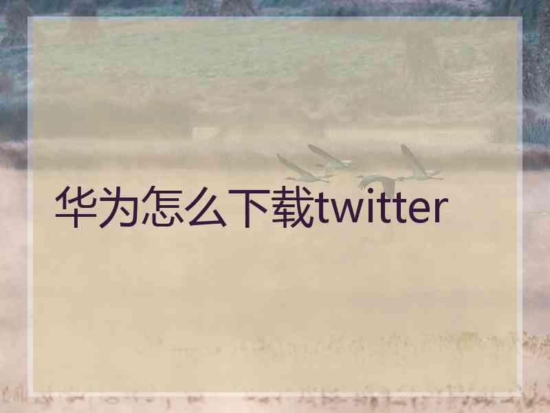 华为怎么下载twitter