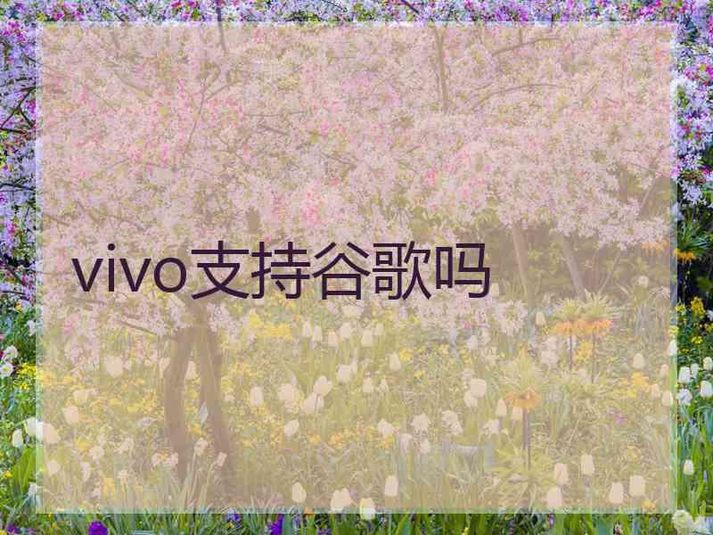 vivo支持谷歌吗