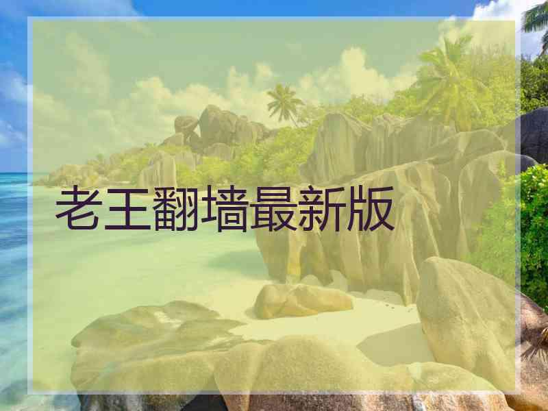 老王翻墙最新版