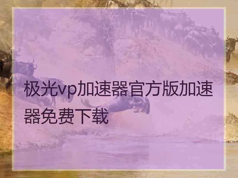 极光vp加速器官方版加速器免费下载