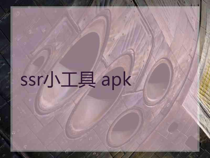 ssr小工具 apk