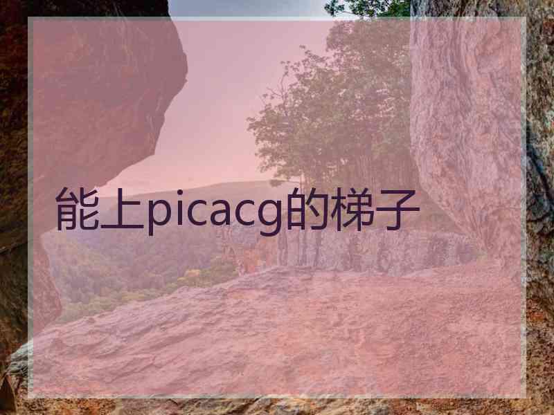 能上picacg的梯子