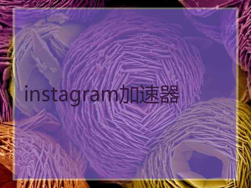 instagram加速器