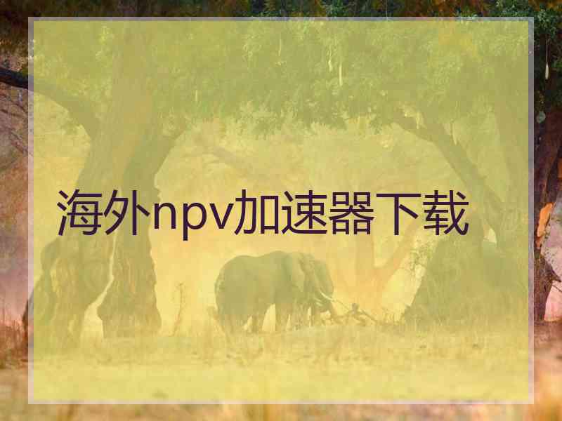 海外npv加速器下载