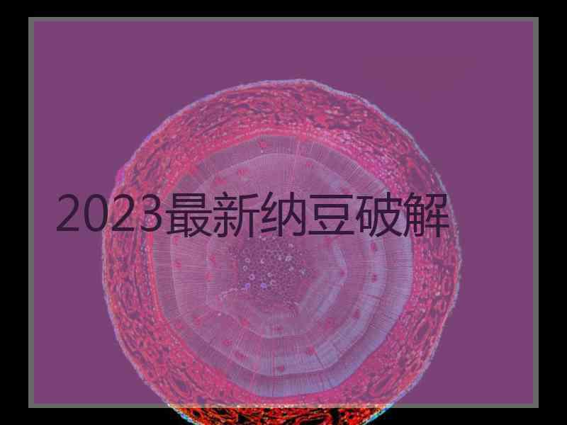 2023最新纳豆破解