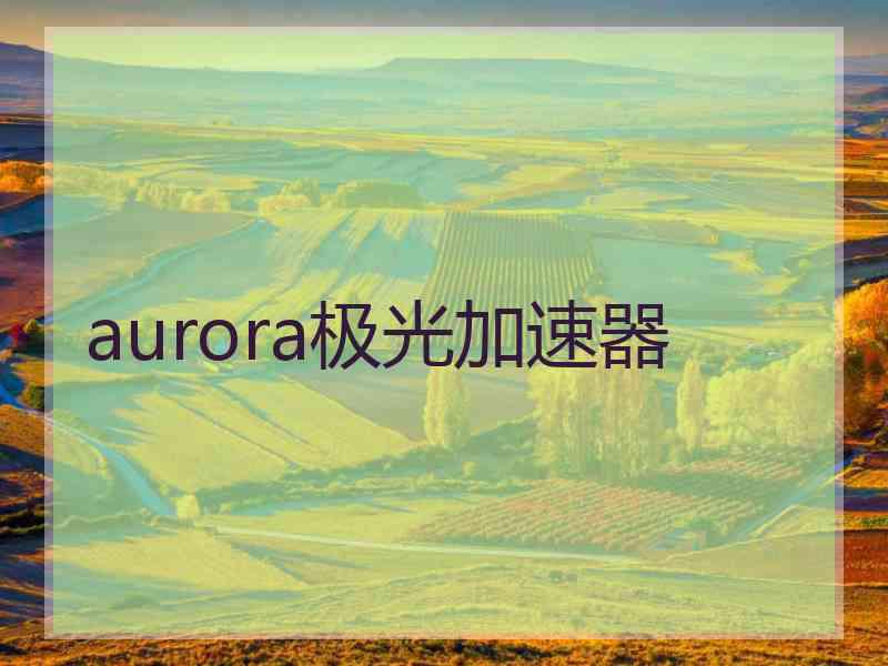 aurora极光加速器