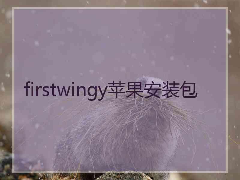 firstwingy苹果安装包