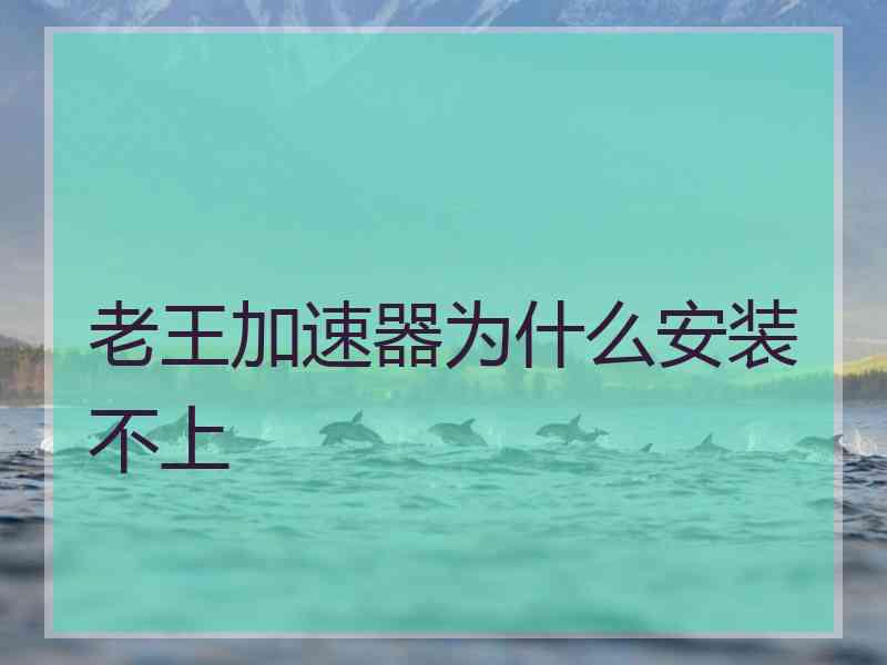 老王加速器为什么安装不上